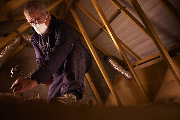 Best Insulation Inspection Services  in Snowmass Village, CO